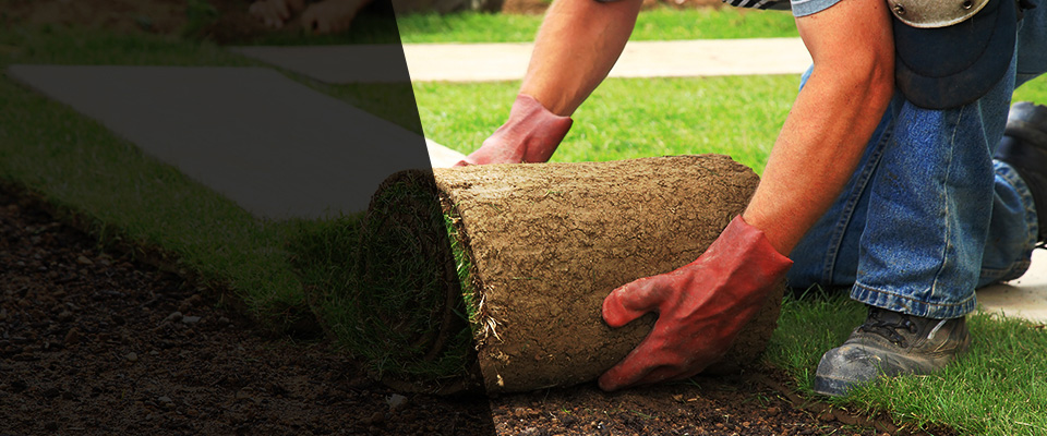 Gray Landscapers